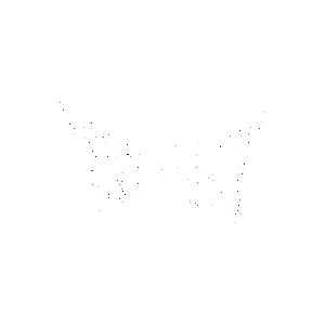 Vermillion Studios